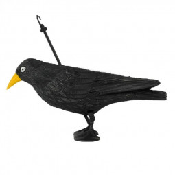 Dekorácia do záhrady - vrana