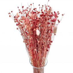 Sušená kytica z ľanu,...